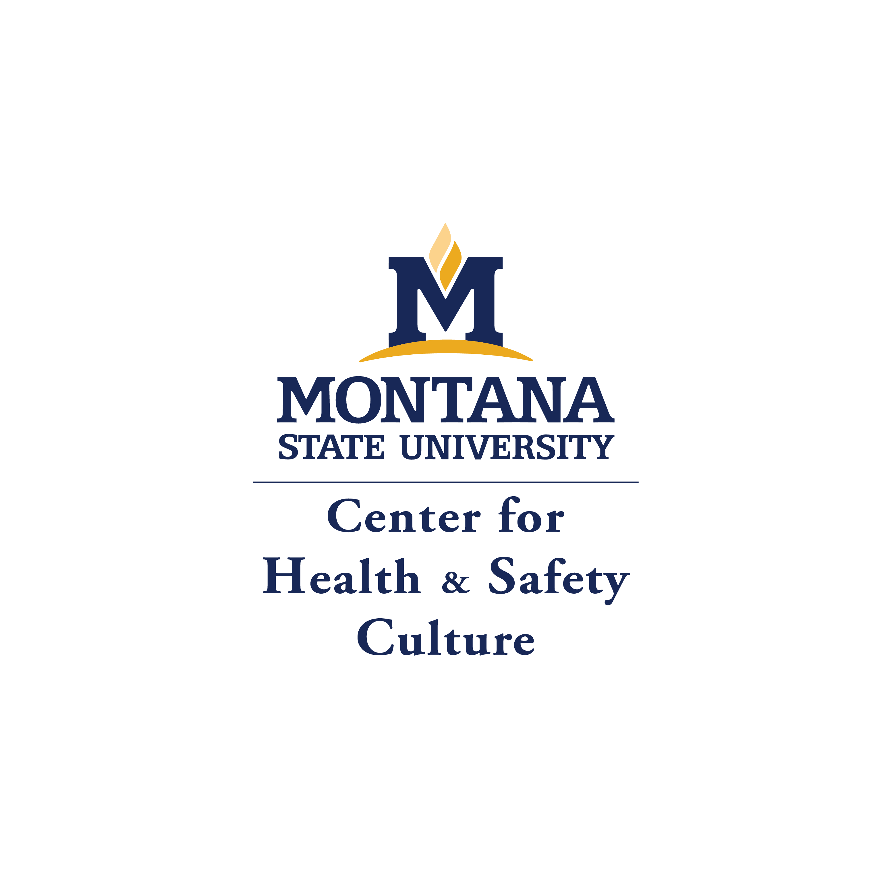 CHSC Who We Are and How We Support Efforts to Improve Health and Safety MSU Event
